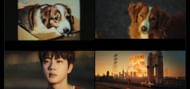 Flashback of a puppy's baby photographs. (Images via YouTube/HYBE LABELS)